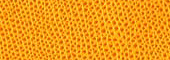 lookup