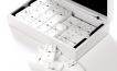 Swarovski Crystal Dominoes in Alligator Case (2)
