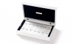 Swarovski Crystal Dominoes in Alligator Case (3)